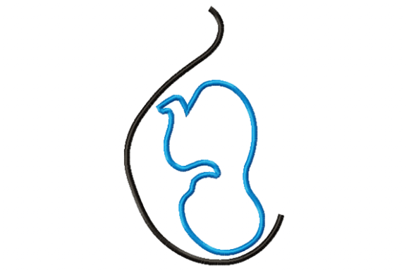 Pregnancy Applique Embroidery Review